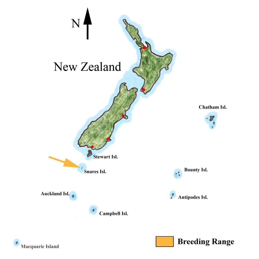 Kort over new zealand og de omkringliggende øer