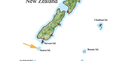 Kort over new zealand og de omkringliggende øer